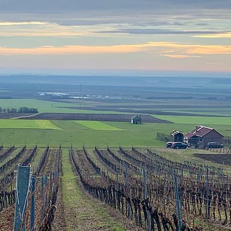 Kuca Za Odmor Kiss-Karanac,Baranja Βίλα Εξωτερικό φωτογραφία