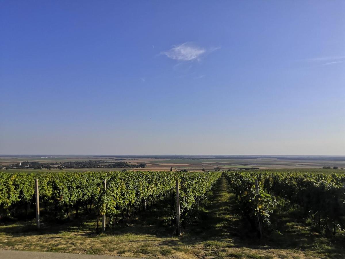 Kuca Za Odmor Kiss-Karanac,Baranja Βίλα Εξωτερικό φωτογραφία