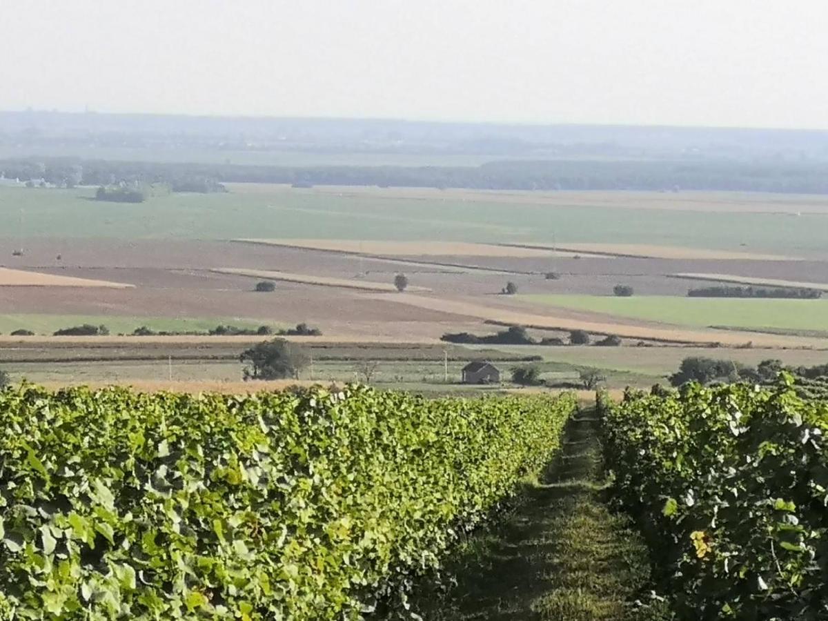 Kuca Za Odmor Kiss-Karanac,Baranja Βίλα Εξωτερικό φωτογραφία