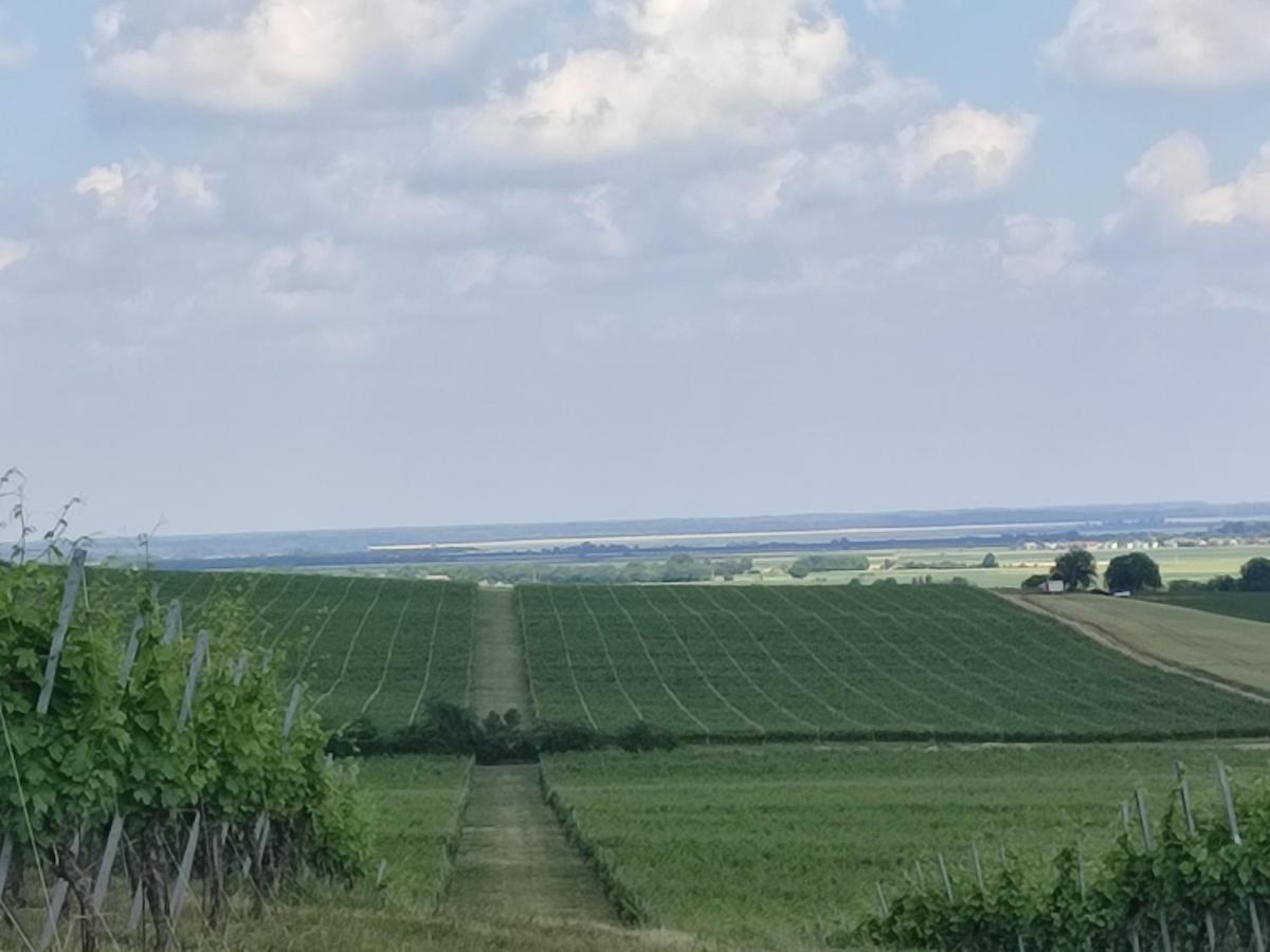 Kuca Za Odmor Kiss-Karanac,Baranja Βίλα Εξωτερικό φωτογραφία