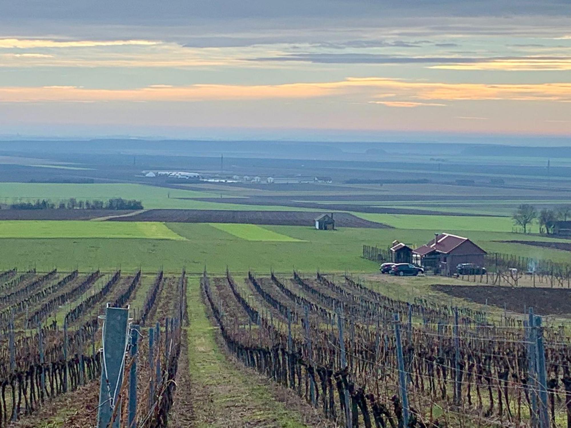 Kuca Za Odmor Kiss-Karanac,Baranja Βίλα Εξωτερικό φωτογραφία